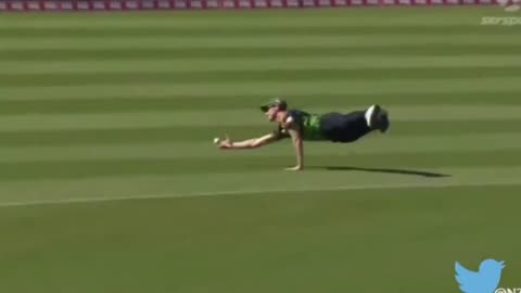 Top 10 Unbelievable Catches in Cricket History