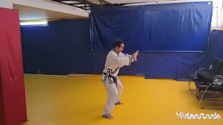 Hapkido