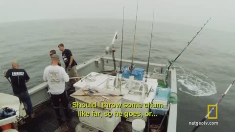 Catch of the Week - Go Hard or Go Home | Wicked Tuna