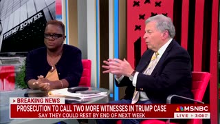 Former Federal Prosecutor Predicts Michael Cohen Won't Be 'Last Witness' Because He Isn't 'Good'