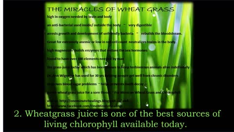 50 Reasons to Use Wheatgrass From Hippocrates Institute/Australia