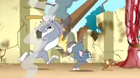 Tom and jerry/tom and jerry cartoon/tom and jerry cartoon videos/kids entertainmentl/8/9/23