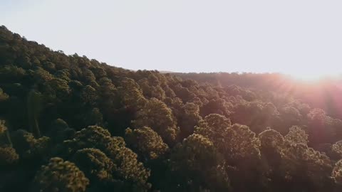 cinematic sunset video _ Beautiful scenery