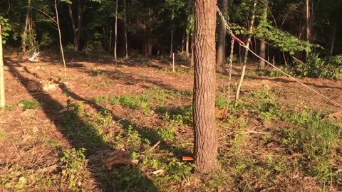 Northern Kentucky Project: First Video on Directional Felling - Mechanically Assisted Felling