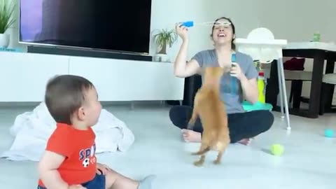 Best video of Cute Babies and Pets 🐶😍