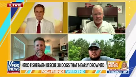Fishermen rescue 38 hounds found treading water in Mississippi _shorts(360P)