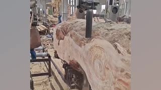 Industrial saw for cutting regular wood