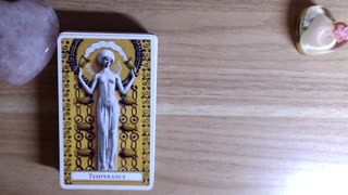 tarot tag: ACADEMY AWARDS