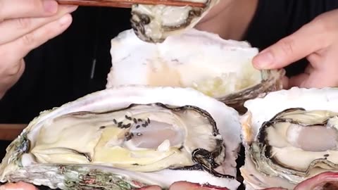 Huge Oyster Compilation🦪