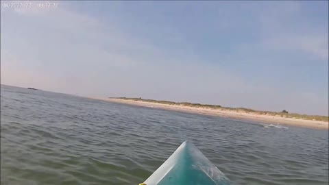 Grandview Beach Dolphins