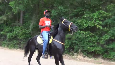 "BIG" Front Action Ryders Annual Walking Horse Trail Ride in Ogden, Arkansas-11