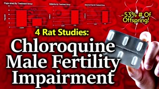 GENOCIDE: CHLOROQUINE DEVASTATES MALE RAT FERTILITY: 4 RAT STUDIES SHOW MASSIVELY DELETERIOUS EFFECT