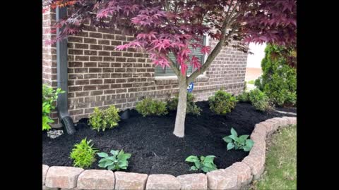 Doctor Landscaping - (901) 616-4123
