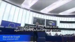 MEP makes about Ukraine being a major source of children for pedophile networks