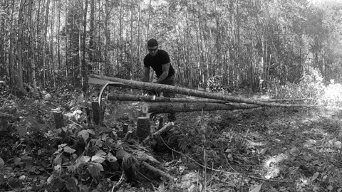 The Hateful Lumberjack