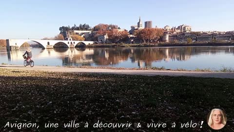 Discover Avignon by bike !