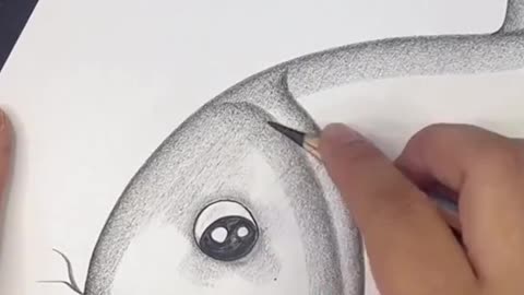 Beautiful Pencil Sketch in Fish 🐟