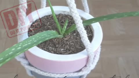 1 MINUTE HANGING PLANTER - QUICK AND EASY | HANGING POT WITH ROPE