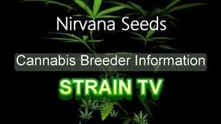 Nirvana Seeds - Cannabis Strain Series - STRAIN TV