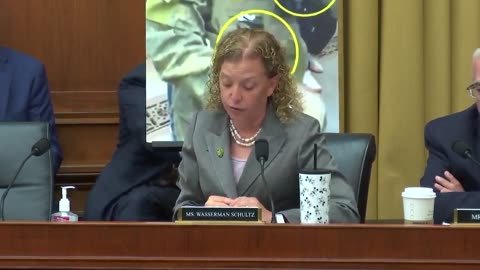 Wasserman Schultz Accuses FBI Whistleblower Of 'Financial Exploitation' During Hearing