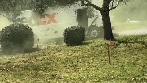 Pollen-Filled Tree Falls on FedEx Truck