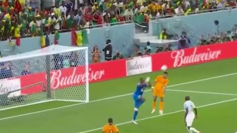 A special goal for Cody Gakpo on his World Cup
