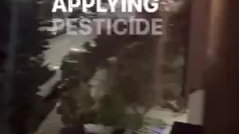 Get out of NYC! Brooklyn sprayed w/ "pesticide"