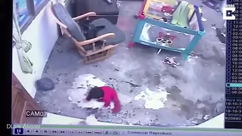 Hero cat saves baby from falling down stairs