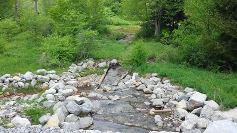 Log fish ladder on Beaver Creek tributary to Shavers Fork in WV
