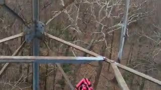 Ferncliff Forest Tower Climb Time-lapse
