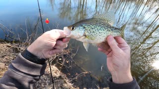 1-2-3 PEACE OUT Release - Nice Catch On The Ultra Light Rod