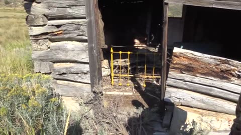 Rattlesnake bites itself and dies! Snake hunting for poisonous venomous rattlers