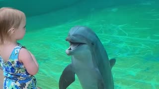 Toddler has adorable interaction with dolphin 😍😍😍