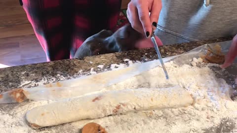 Dog Licks Flour off Edge of Countertop