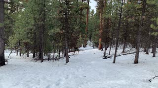 Climbing Up Ochoco Pass – Bandit Springs Sno-Park – Central Oregon – 4K