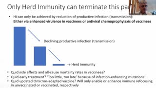 Geert Vanden Bossche - Covid Injection Excess Mortality "peanuts" compared to viral evolution