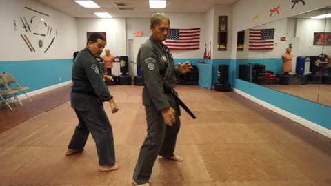 Correcting common errors executing the American Kenpo technique Deflecting Hammer