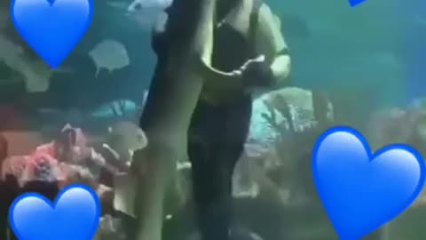 Wow uncroyable a diver dance with big fish