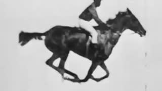 The Horse in Motion - 1878 First Film Ever