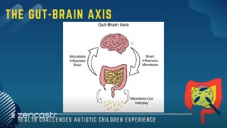 06 of 63 - The Gut-Brain Axis - Health Challenges Autistic Children Experience