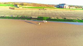 Horse Riding at Sunset, Cowboys! [Free Stock Video Footage Clips]