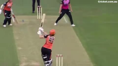 Sydney Sixers star Erin Burns snares a classic catch
