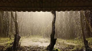 Captivating Thunderstorm Sounds on a Tin Roof - Immerse Yourself in Nature
