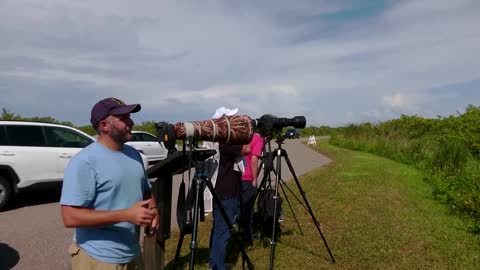 Spectators gather for view of Artemis launch