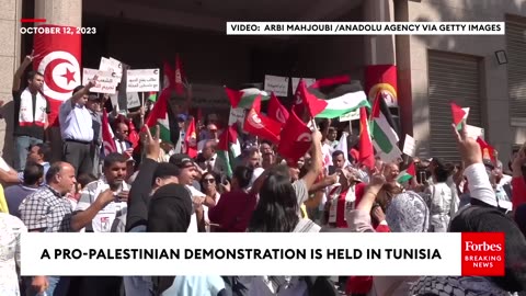 A Pro-Palestinian Demonstration Is Held In Tunisia