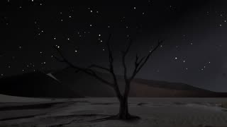 Enchanting Desert sounds at Night 🌄 Crickets, Dunes Ambience #relaxing #ambient