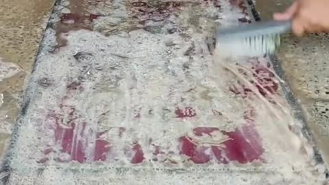 CARPET CLEANER