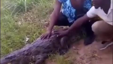 When the village people took pictures with an alligator. WARNING EXPLICIT VIDEO!!