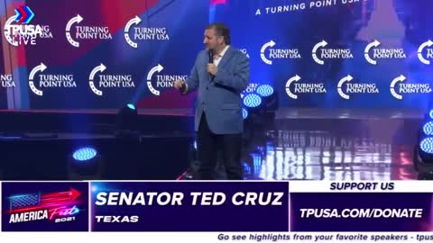 Senator Ted Cruz woke up and chose to trigger the left