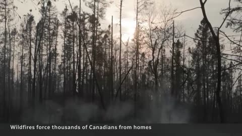 Over 400 wildfires burning across Canada, half out of control